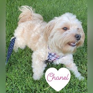 Sharing Yours & Mine💗 Like this Listing to be Notified when I go live!